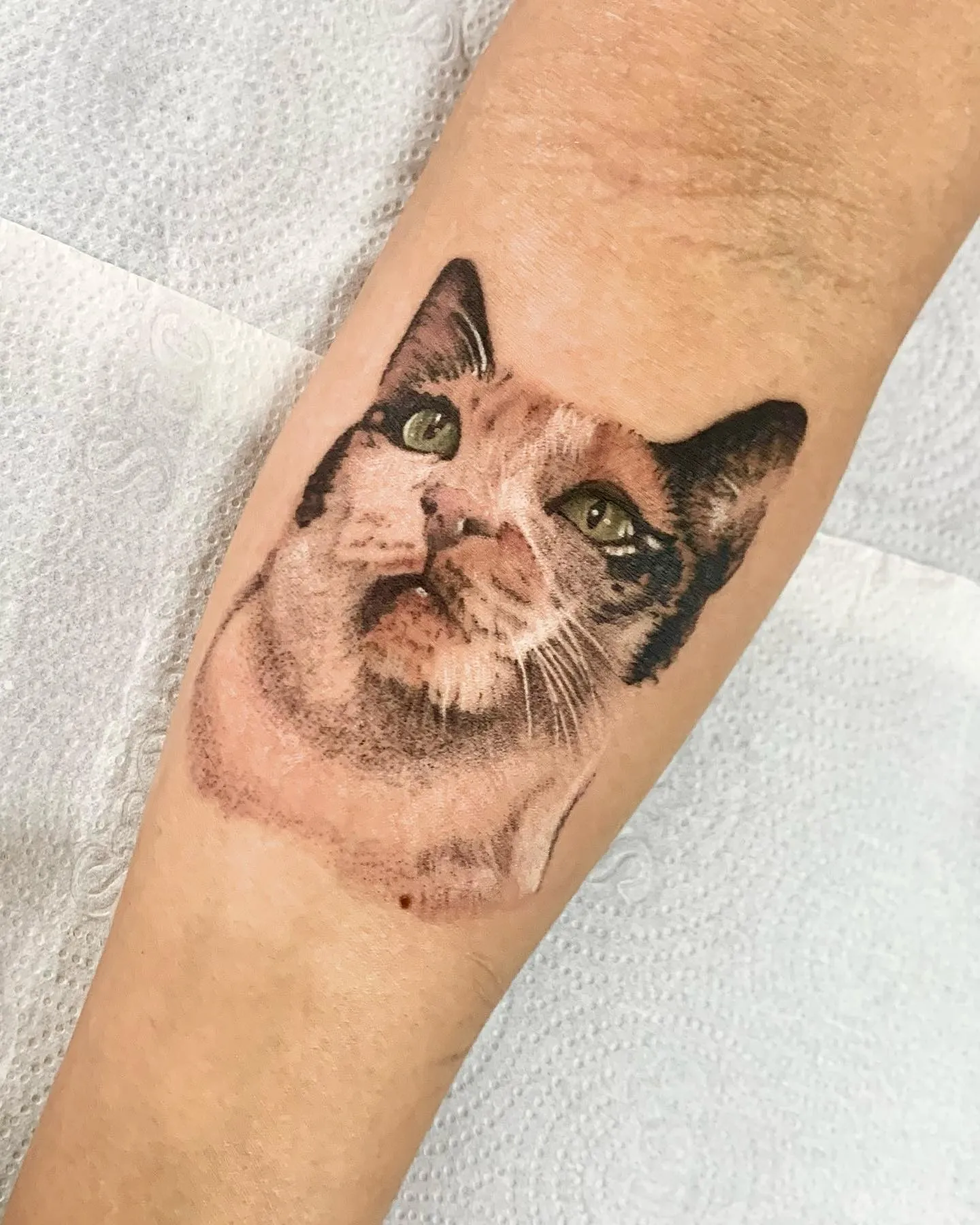 Tatuagem microrealismo feita por Laura Teixeira